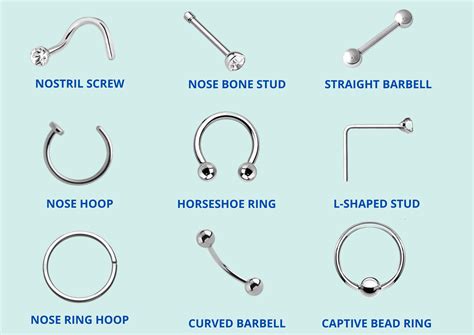 what are nose rings called.